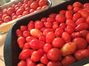 Tomatoes - Sunday Musings